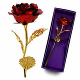 Love Gold Rose