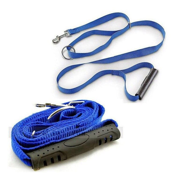 Instant Dog Trainer Leash